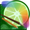 Paint Tool SAI