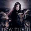 new-moon-new-moon-movie-4909367-510-755