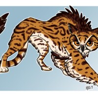 A king cheetah and owl mashup. Cheetowl