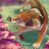 An illustration of a coyote looking at a yellow butterfly that landed on its nose.