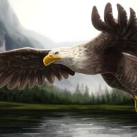Eagle Eagle