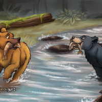 River Bears