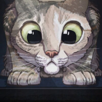 Zoey is obsessed with watching the little lizard that runs around on the patio. She's glued to the slider door for hours at a time. An illustration of a cat with cartoonishly huge eyes looking at a skink lizard.