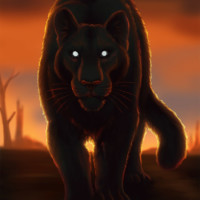 puma silhouetted against sunset