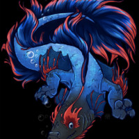 Beta fish dragon