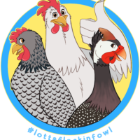 #LottaFlockinFowl