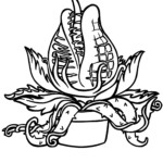 Line art version for use on Cast and Crew shirts/hoodies. Audrey II line art