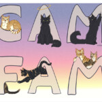 CAM FAM 2024 Cole and Marmalade - CaM Fam