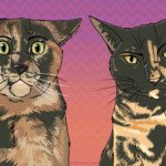 Jugg and ZigZag Jugg and ZigZag