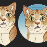 Marmalade Shock Face Marmalade Shock Face